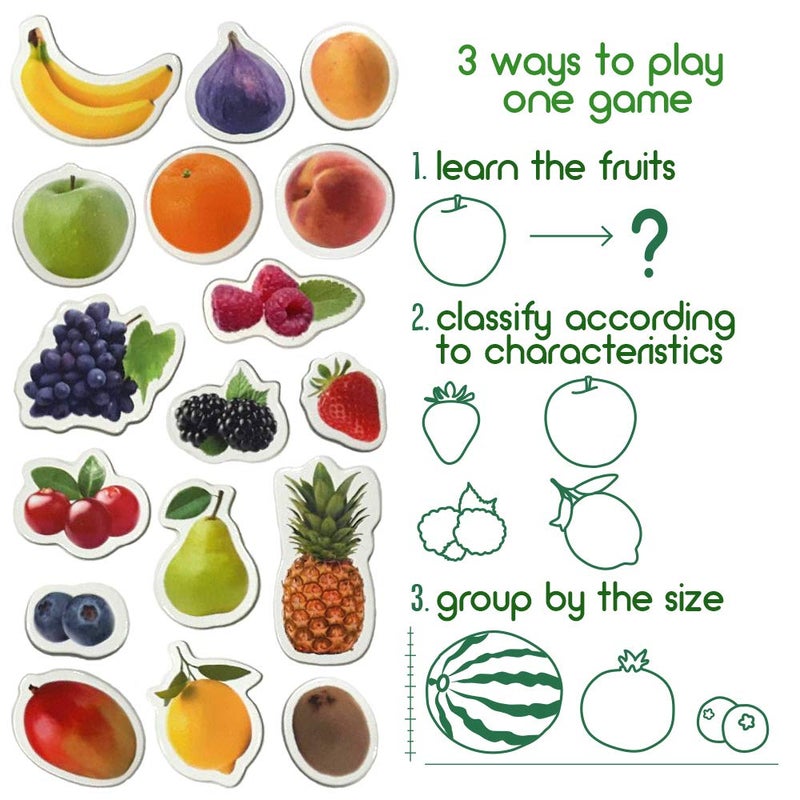 MAGDUM PHOTO FRUITs&Berries - magnets for kitchen -real LARGE fridge magnets for toddlers- Magnetic EDUcational toys baby 3 year old baby - LEARNing magnets for kids- Kid magnets - Development toys - Image 4